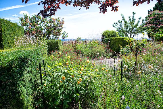 Jardins suspendus du château de Turenne