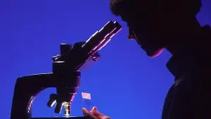 femme regardant un microscope