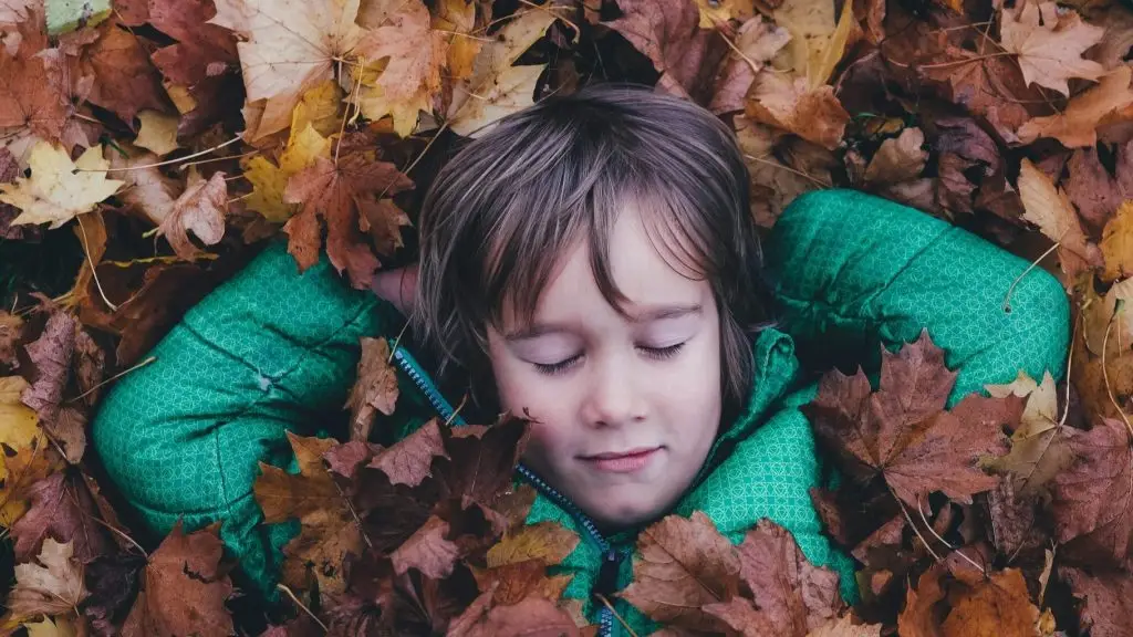 Garçon sous des feuilles