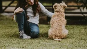 Jeune fille caressant un chien gentil