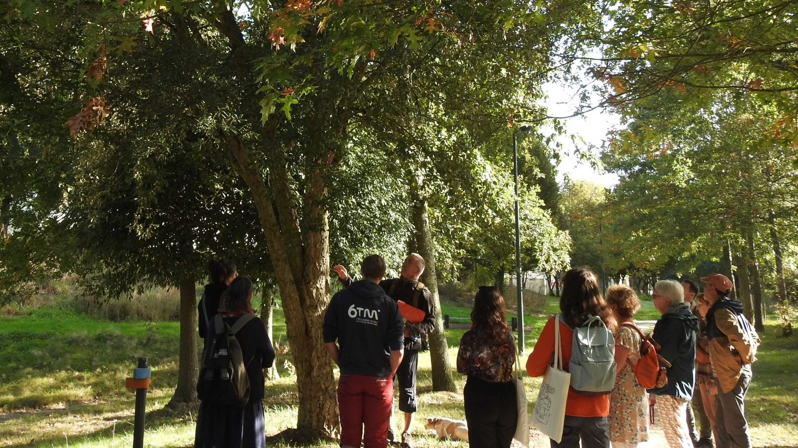 Une balade dans la nature organisée par le collectif les Fol'épis pendant En octobre tous dehors.