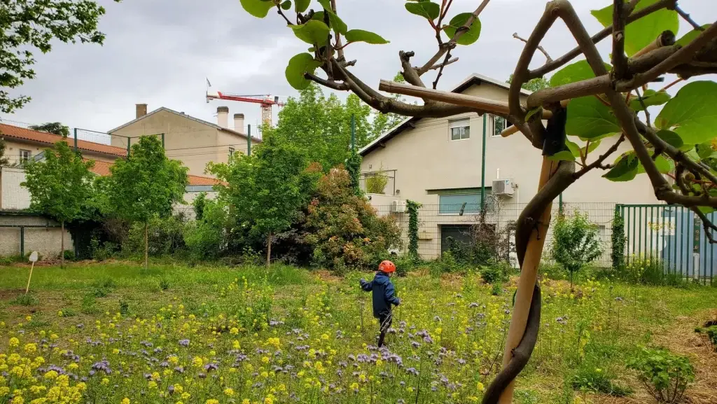 Villeurbanne : Sensibiliser à la nature en ville avec la Butinerie