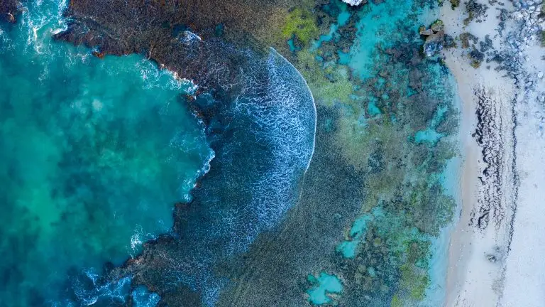 Une barrière de corail