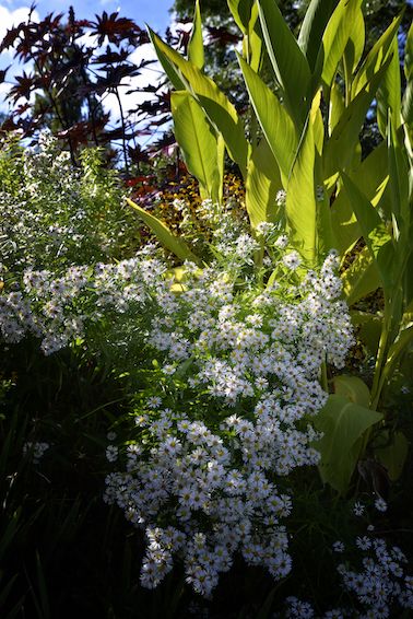 Jardins de Coursiana