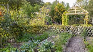 potager d'automne