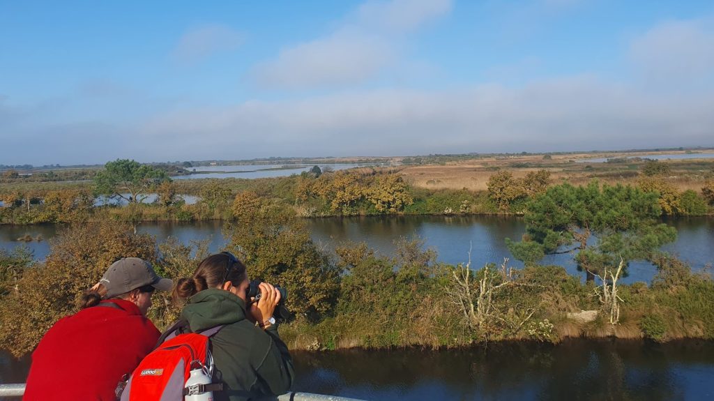 Vue en hauteur depuis la tour à la Réserve Ornithologique de la Teich en Gironde. Ony voit des lacs et de la végétation. Deux personnes de dos sont en train d'observer les oiseaux