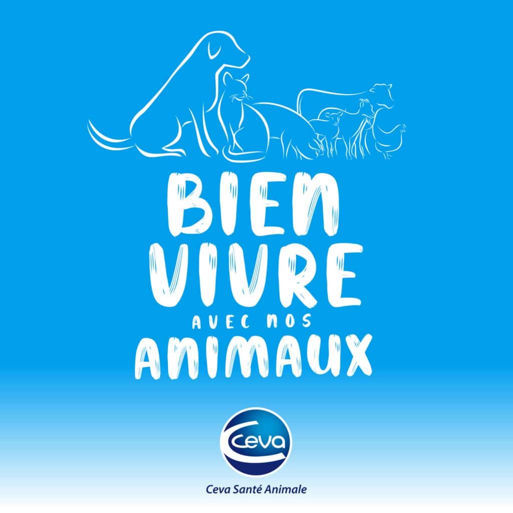 Bien vivre avec nos animaux