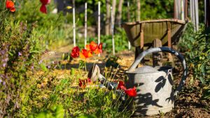 Retour sur le concours national des jardins potagers 2024