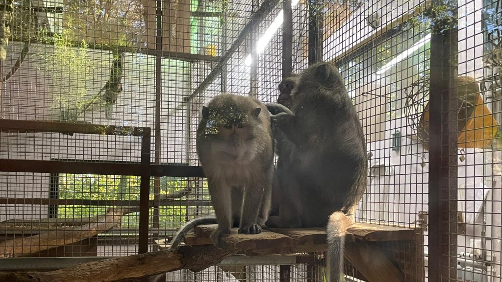 Le GRAAL offre une fin de vie heureuse aux animaux de laboratoire