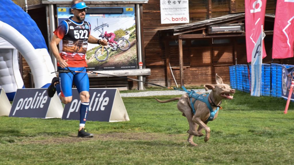 Mathieu est devenu champion du monde de canicross handisport