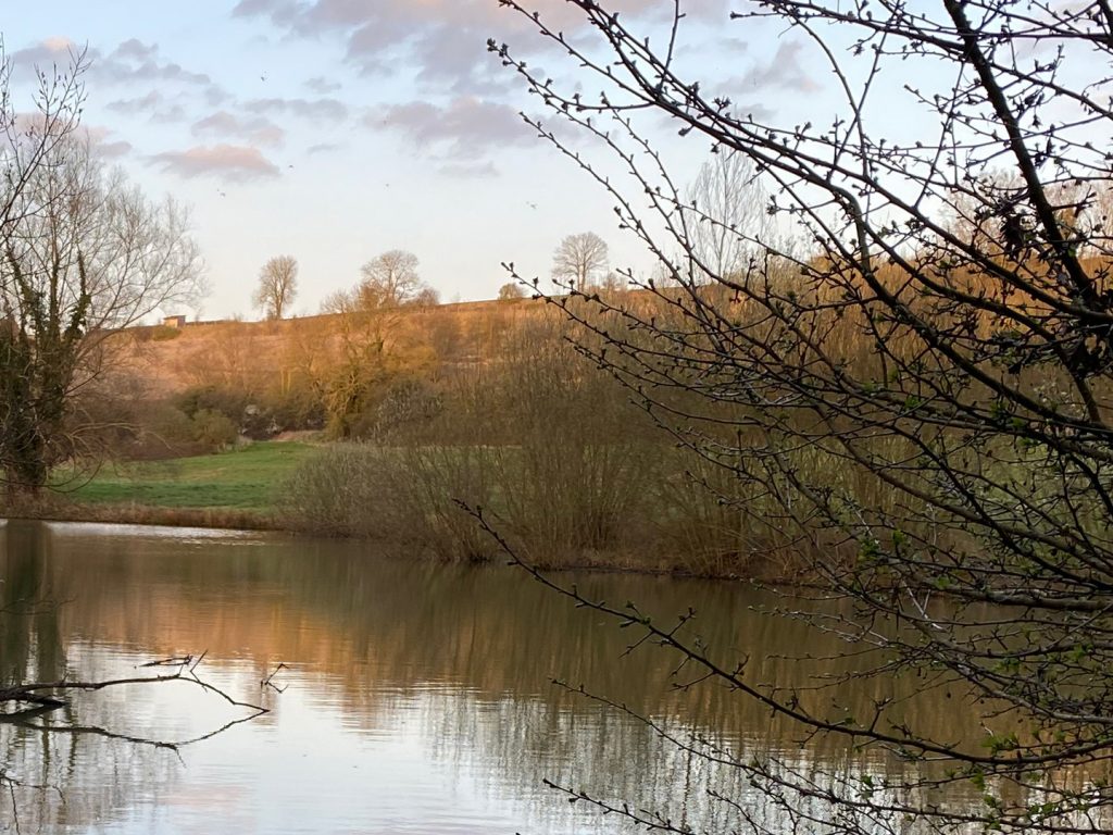 Le Domaine du Val réhabilite un ancien golf en réserve naturelle