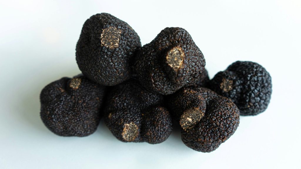 Plusieurs truffes noires