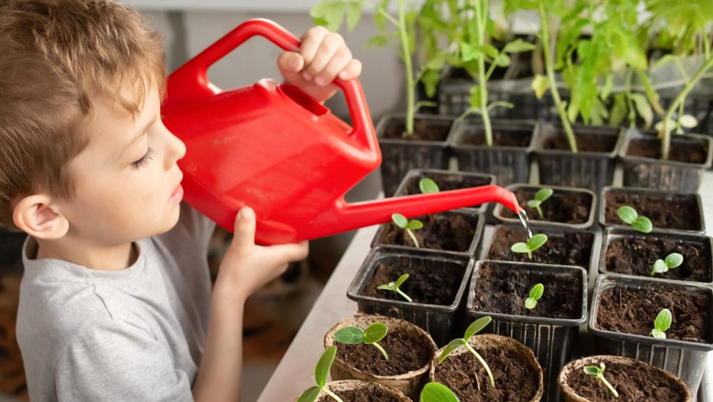 Noël : un calendrier de l’avent spécial potager extraordinaire