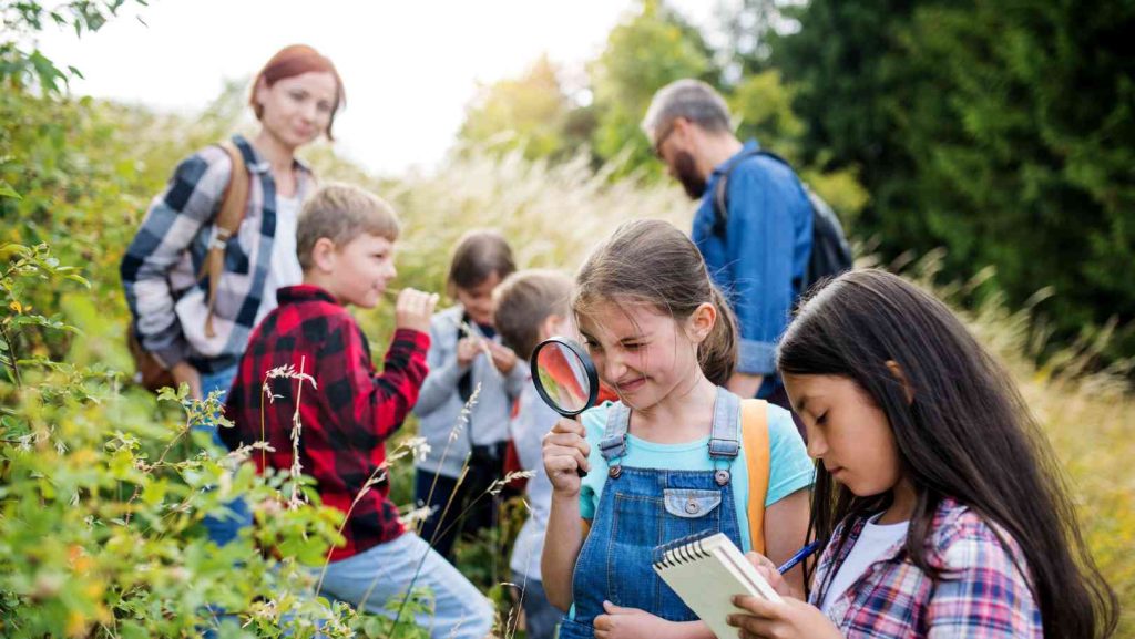 des élèves étudient la nature