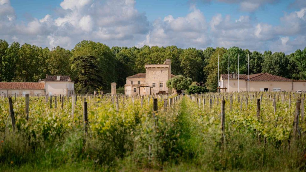 En premier plan, il a des vignes En second plan il a le Château La Tour Carnet