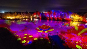 Ain : Les Nuits du Parc illuminent petits et grands au Parc des Oiseaux