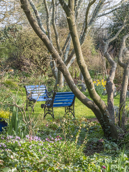 Le Jardin d'Alain -Arrosoirs et sécateurs