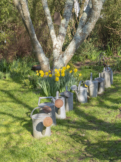 Le Jardin d'Alain -Arrosoirs et sécateurs