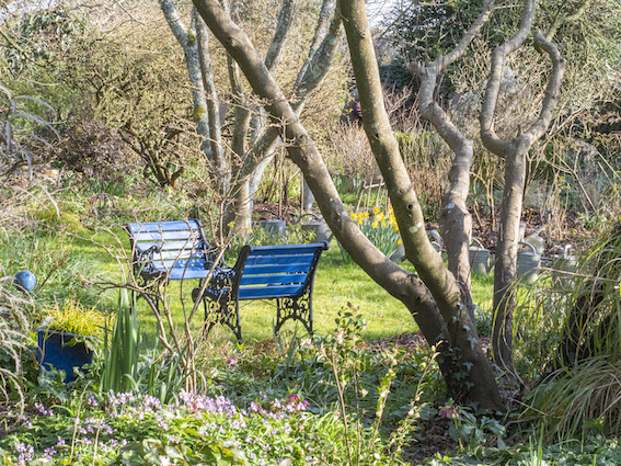 Le Jardin d'Alain -Arrosoirs et sécateurs