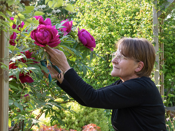 Le Jardin de Maggy