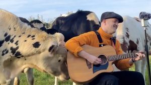 Le chanteur plumes joue de la guitare entouré de vache dans un pré