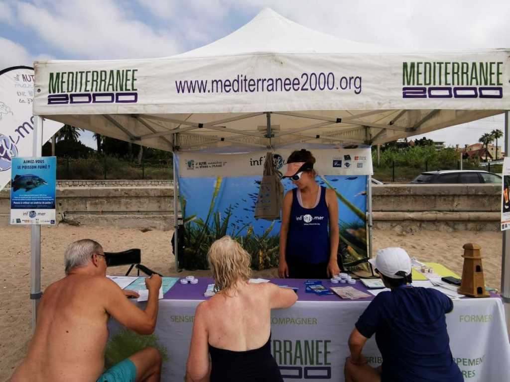 Faire connaître la posidonie pour protéger les plages méditerranéennes